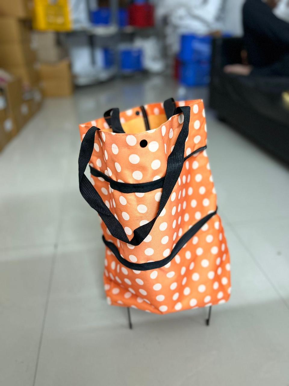 23684